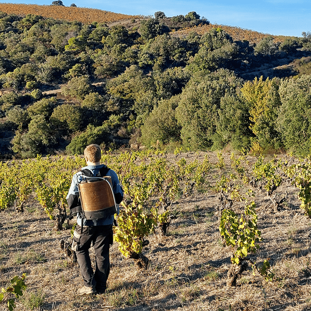 Domaine Montluzia 'Miscéllanées'